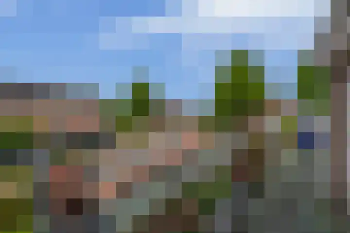 De Warande 13 Nieuwkuijk thumbnail 13
