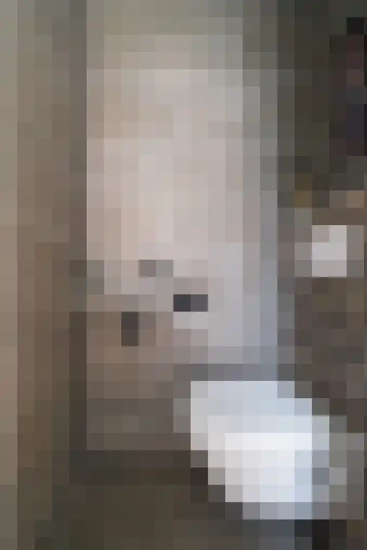De Warande 14 Nieuwkuijk thumbnail 14