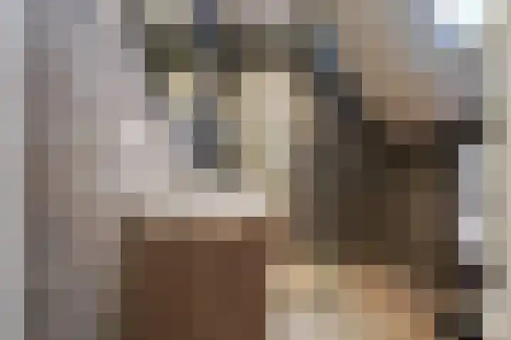 De Warande 14 Nieuwkuijk thumbnail 21