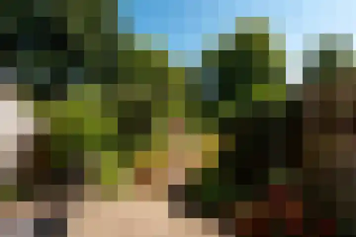 De Warande 43 Driebergen-Rijsenburg thumbnail 18