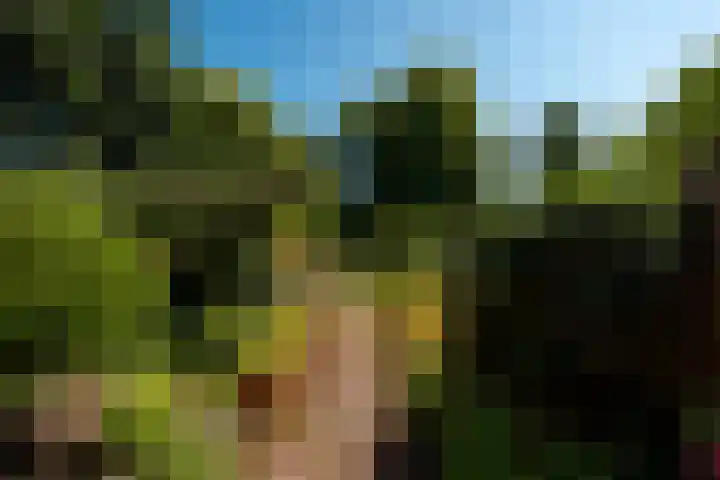 De Warande 43 Driebergen-Rijsenburg thumbnail 19