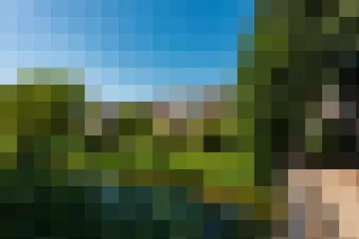 De Warande 43 Driebergen-Rijsenburg thumbnail 24