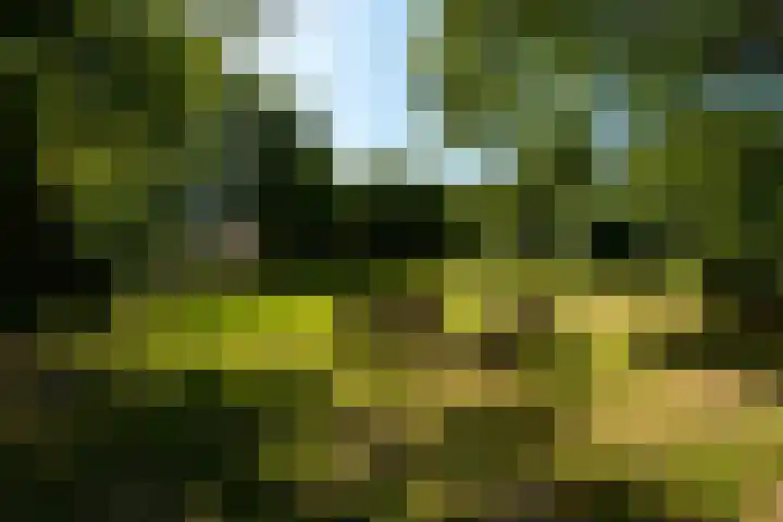 De Warande 43 Driebergen-Rijsenburg thumbnail 30