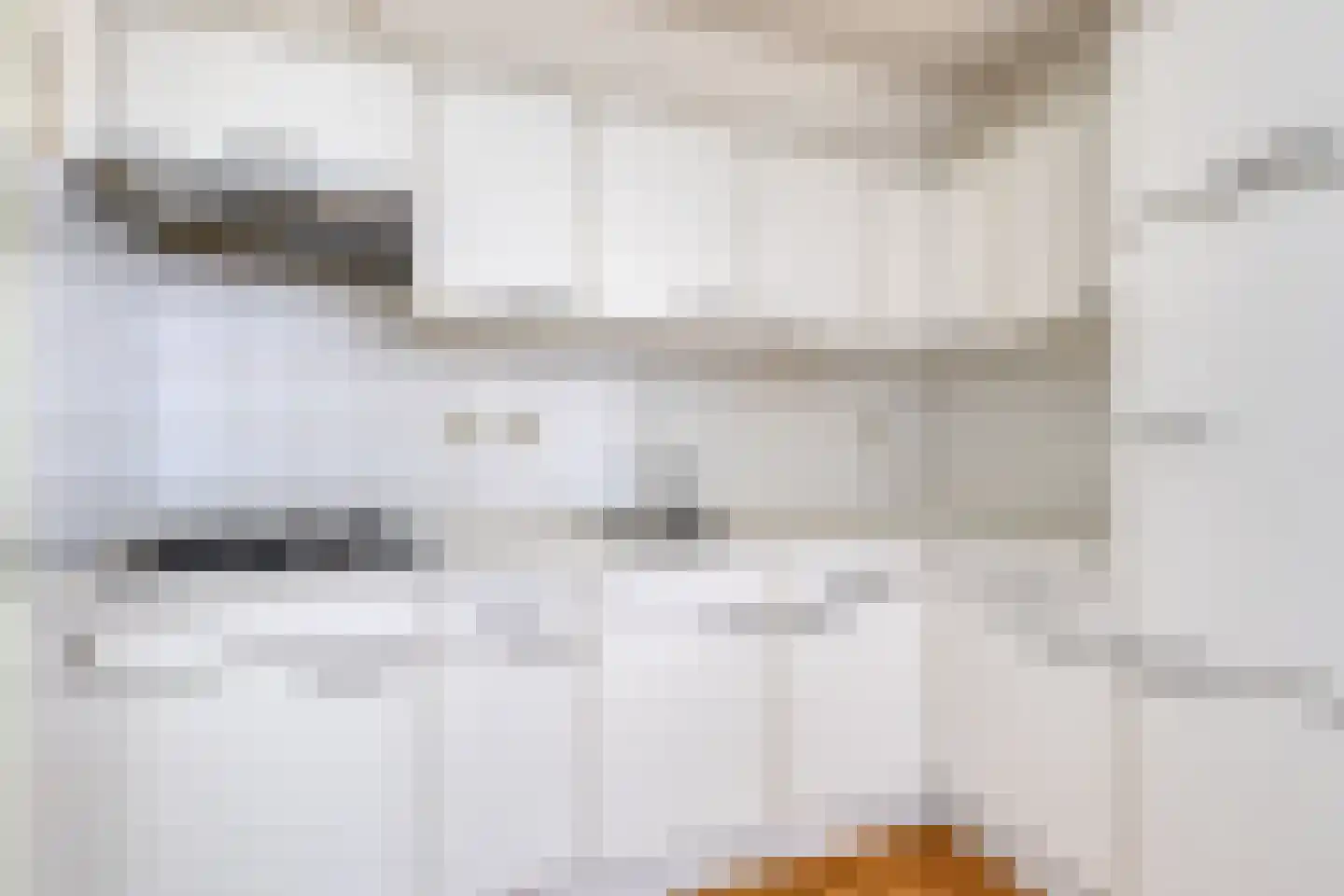 De Warande 6 Nieuwkuijk thumbnail 12
