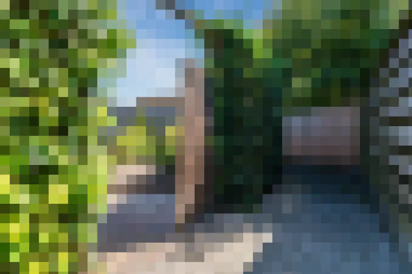 De Waring 13 Hoogeveen thumbnail 39