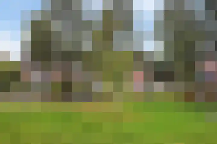 De Waring 43 Hoogeveen thumbnail 30