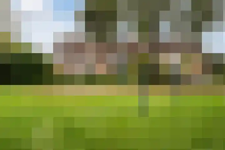 De Waring 43 Hoogeveen thumbnail 31