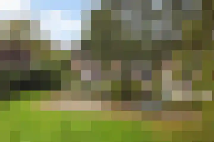 De Waring 43 Hoogeveen thumbnail 37