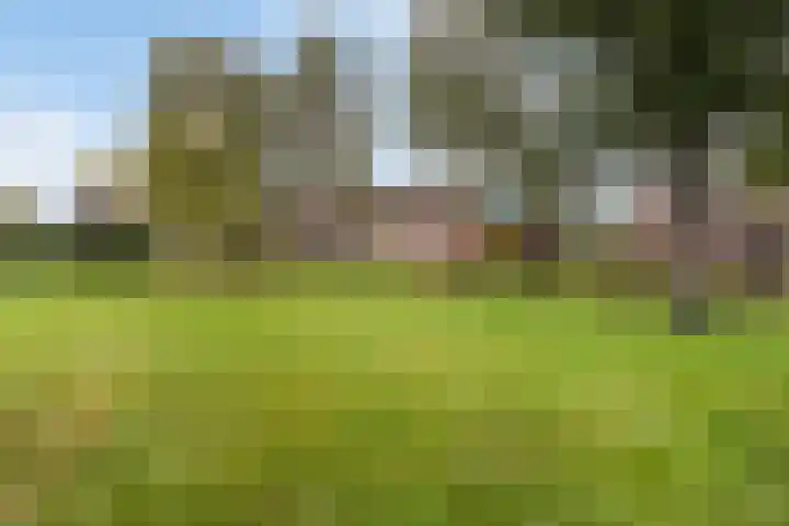 De Waring 43 Hoogeveen thumbnail 39
