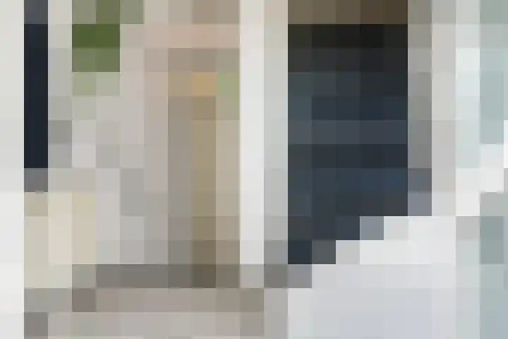 De Waring 43 Hoogeveen thumbnail 6