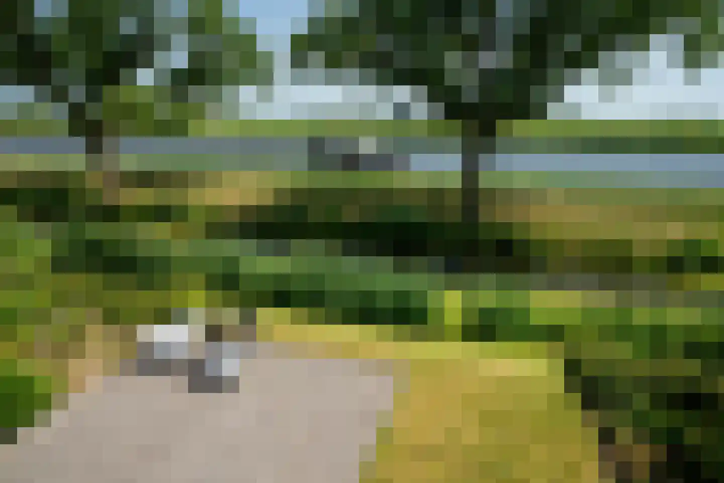 De Waring 5 e Grou thumbnail 28