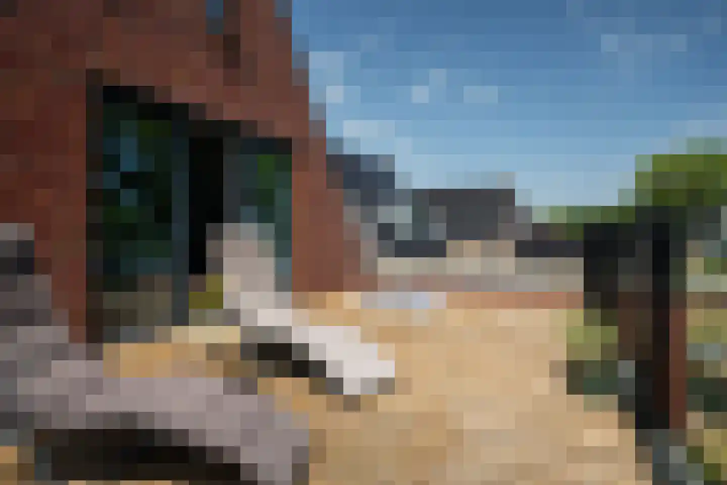 De Waring 5 e Grou thumbnail 29