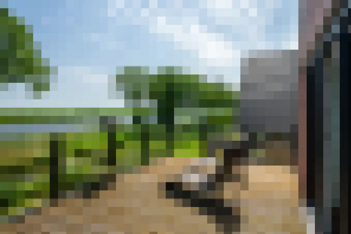 De Waring 5 e Grou thumbnail 30