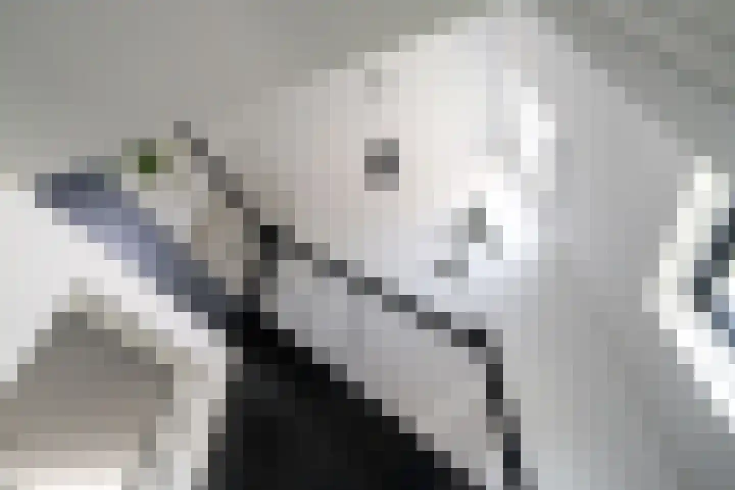 De Waring 5 e Grou thumbnail 38