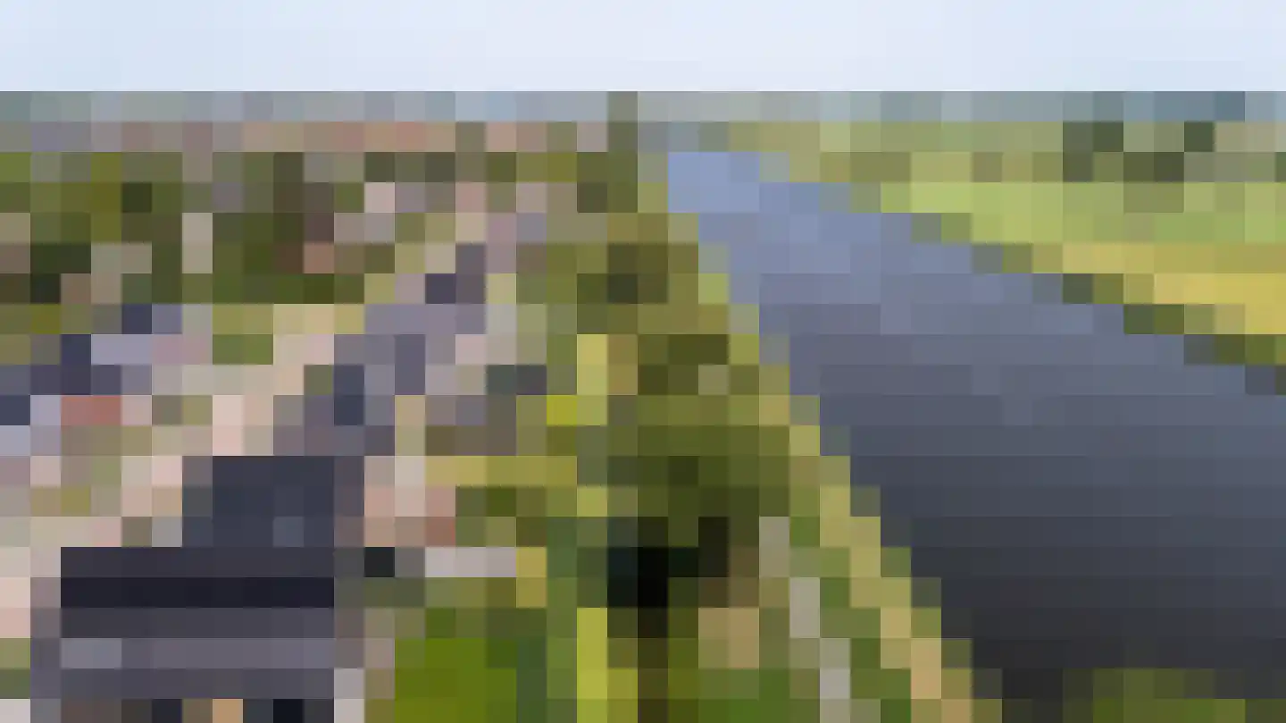 De Waring 5 e Grou thumbnail 4