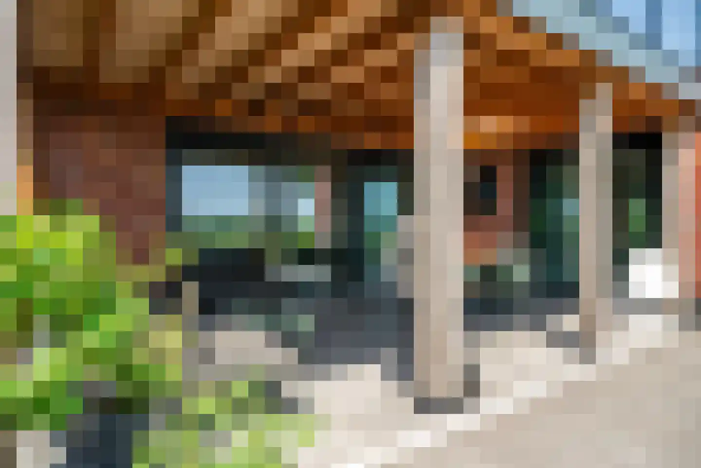 De Waring 5 e Grou thumbnail 44