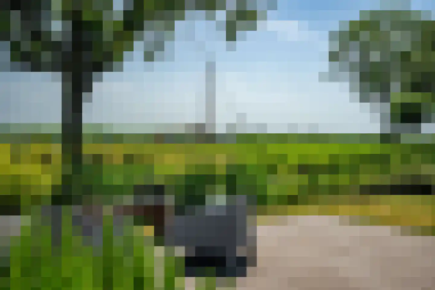 De Waring 5 e Grou thumbnail 47