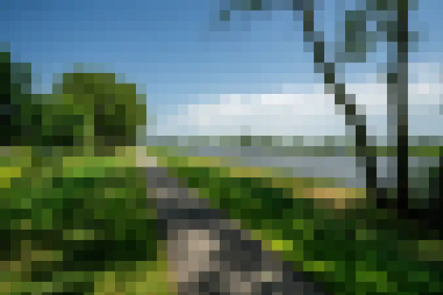 De Waring 5 e Grou thumbnail 49