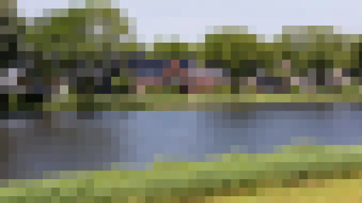 De Waring 5 e Grou thumbnail 52