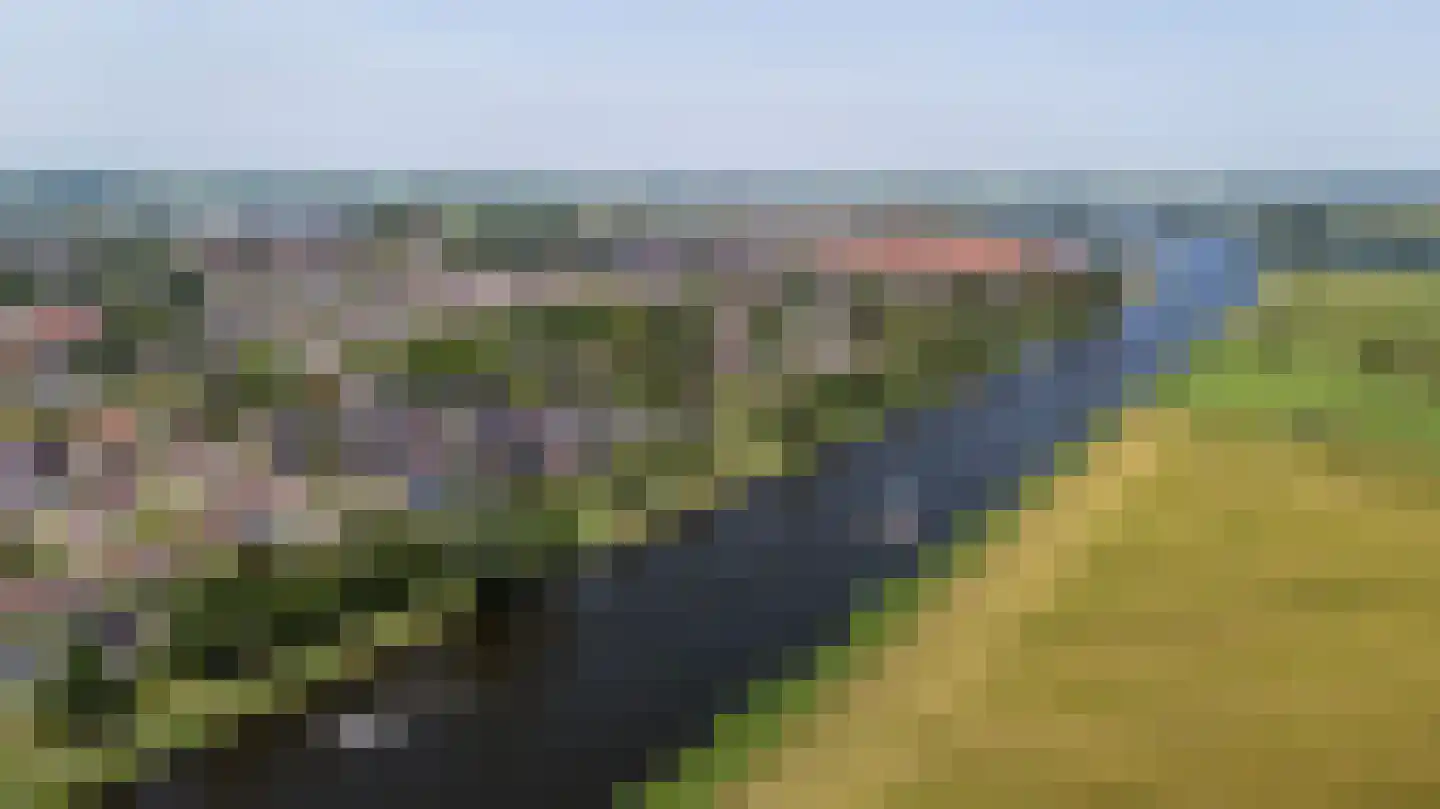 De Waring 5 e Grou thumbnail 54