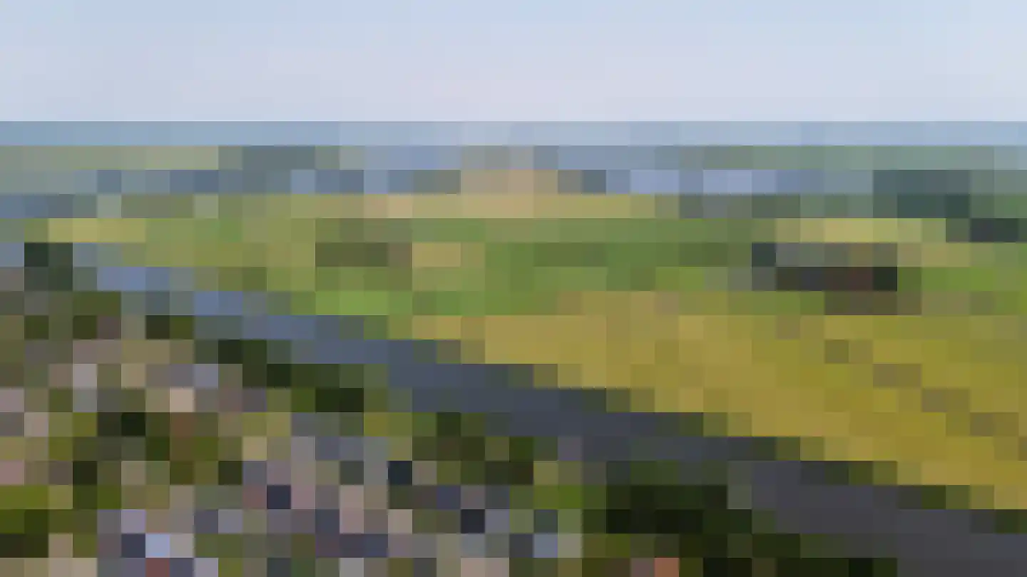 De Waring 5 e Grou thumbnail 55