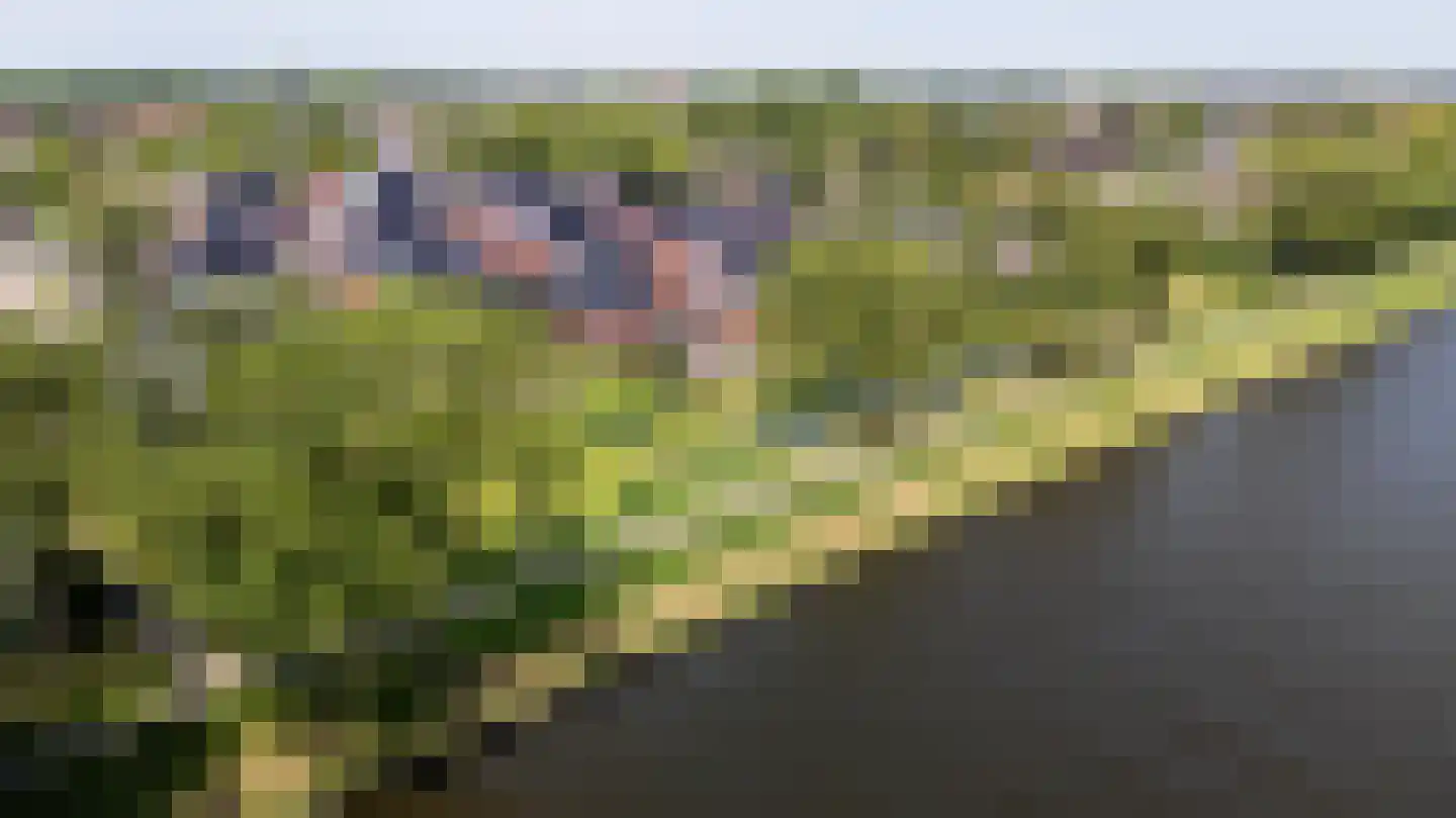 De Waring 5 e Grou thumbnail 56