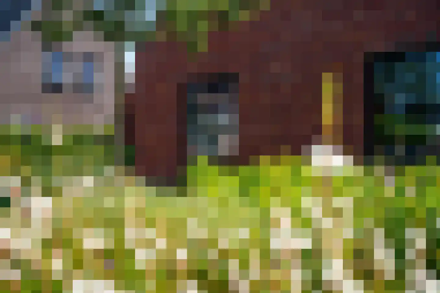 De Waring 5 e Grou thumbnail 57