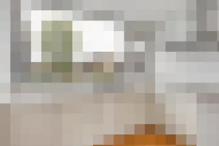 De Warren 15 Balk thumbnail 13
