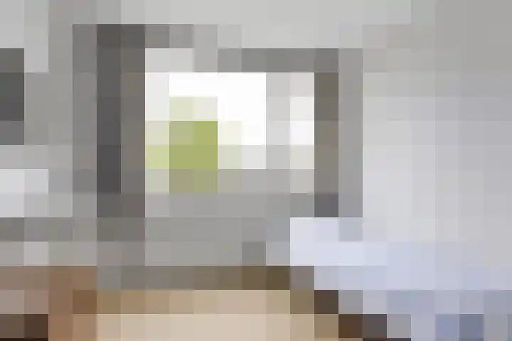 De Warren 15 Balk thumbnail 24
