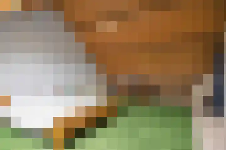 De Warren 15 Balk thumbnail 28