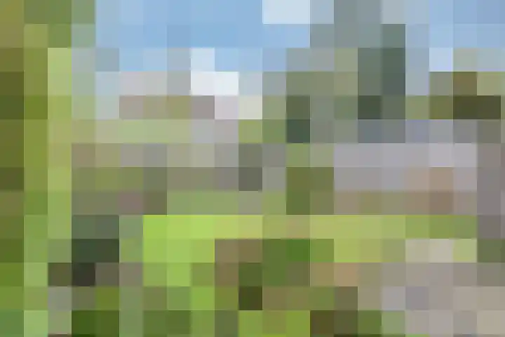 De Warren 15 Balk thumbnail 31