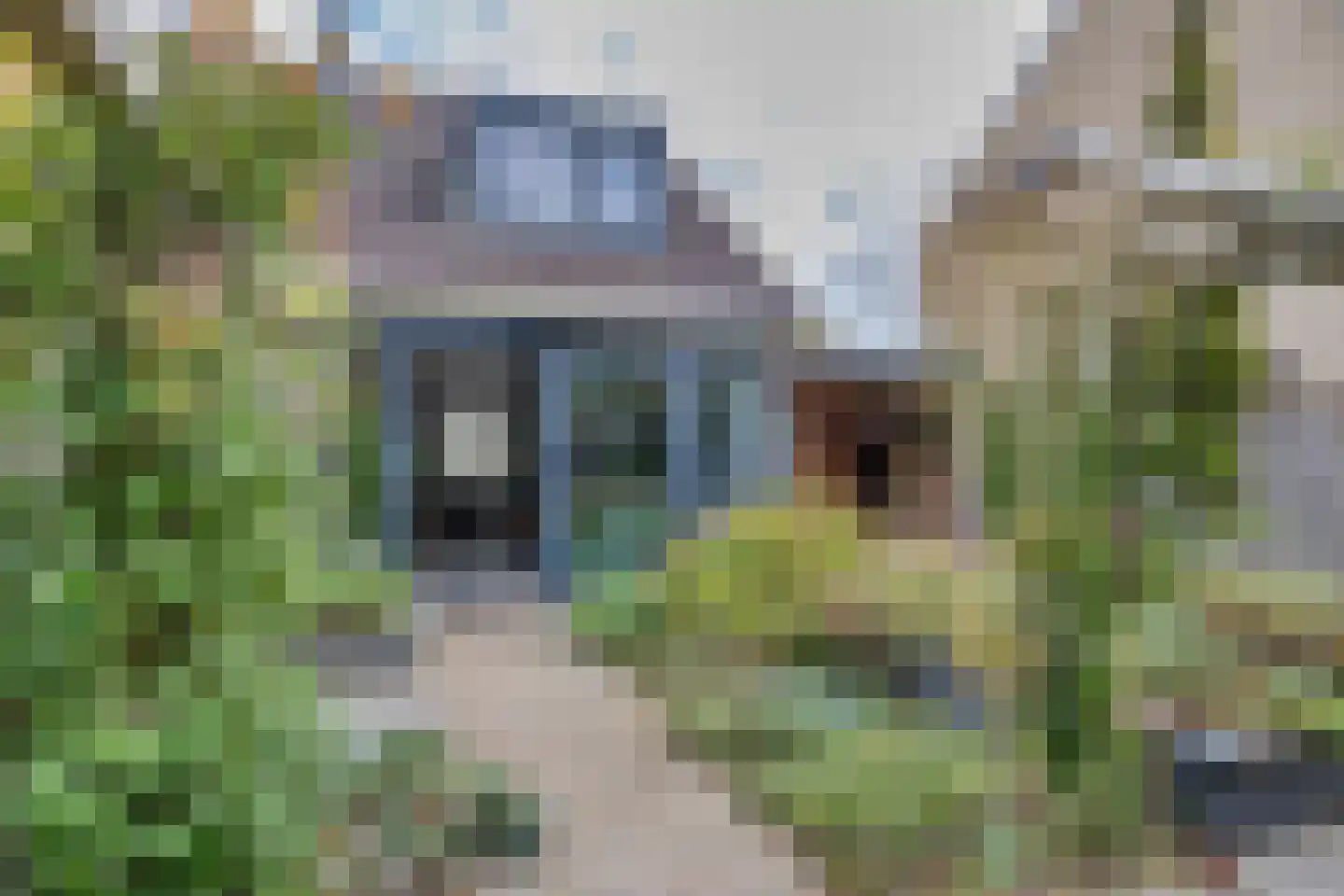 De Warren 17 Balk thumbnail 31