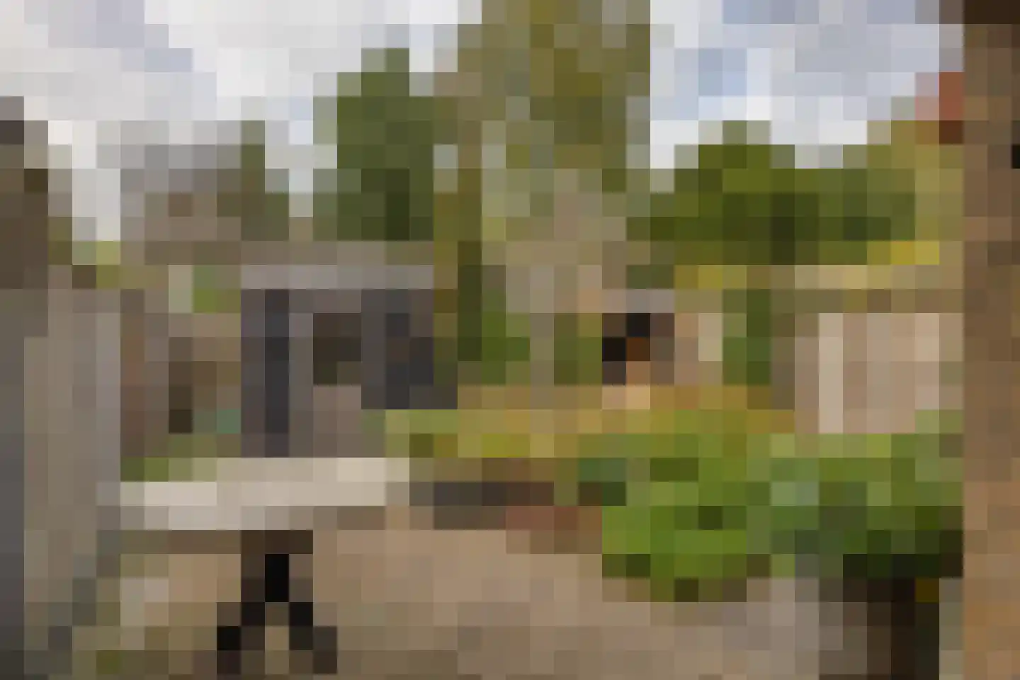 De Warren 17 Balk thumbnail 34