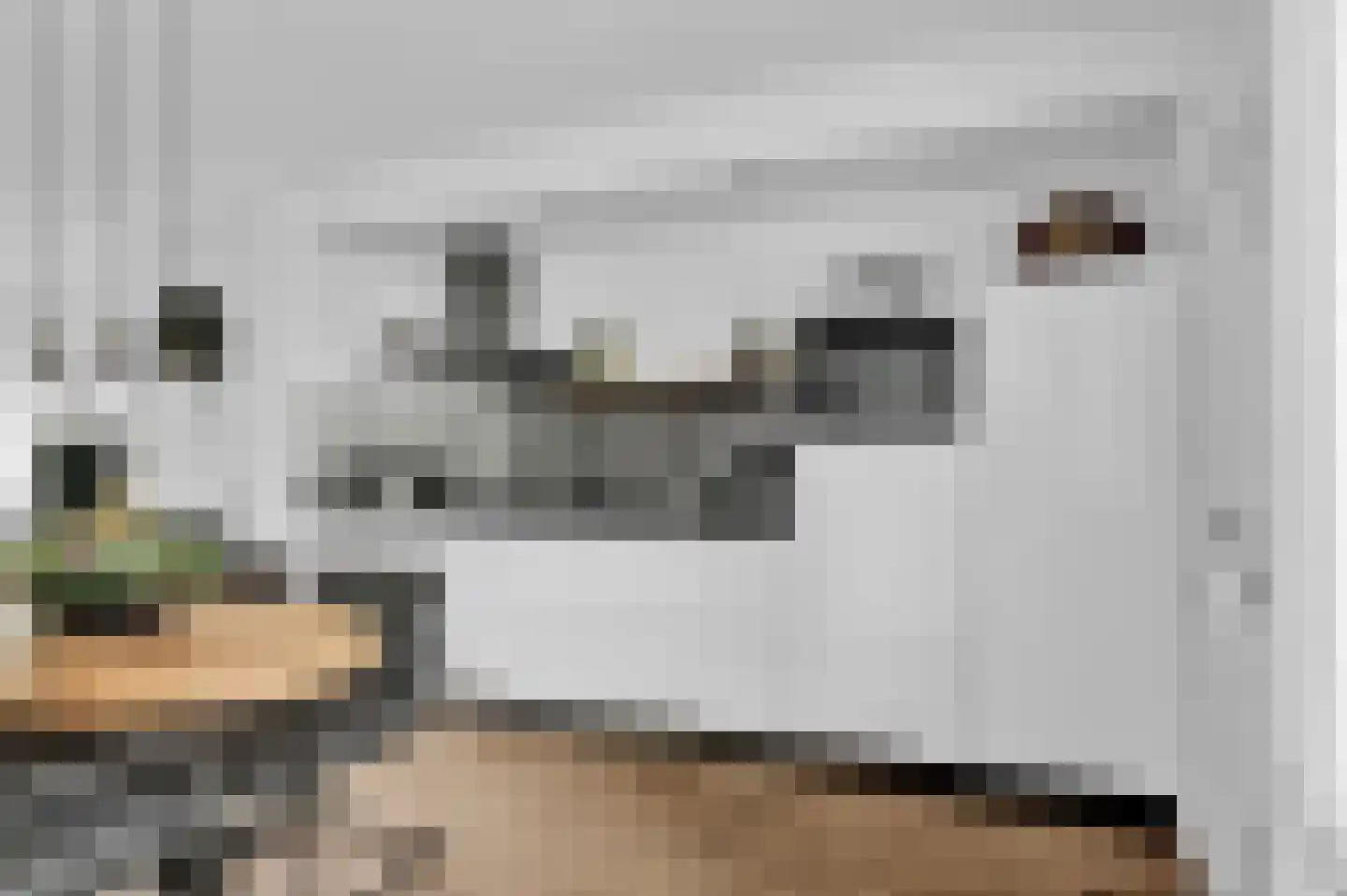 De Warren 17 Balk thumbnail 7