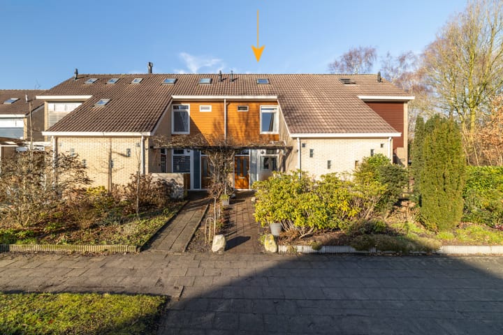 De Warren 21 in Balk