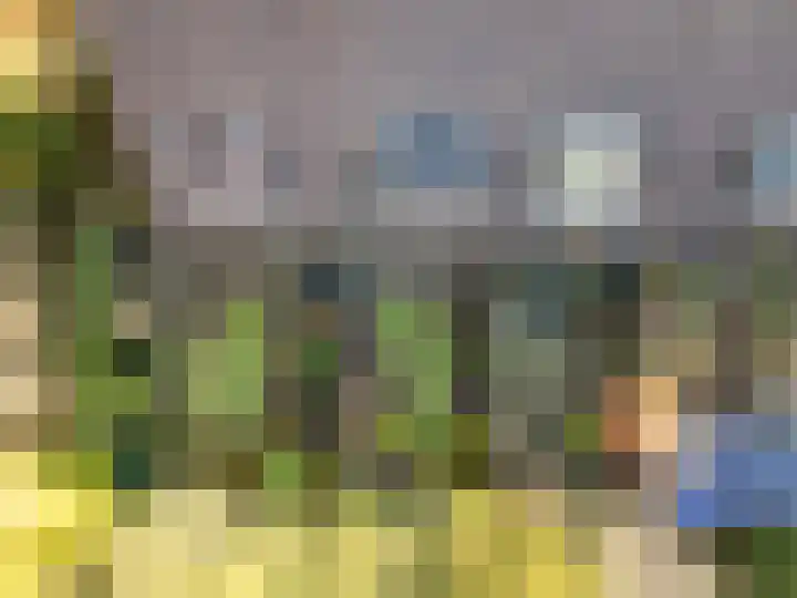 De Warren 21 Balk thumbnail 25