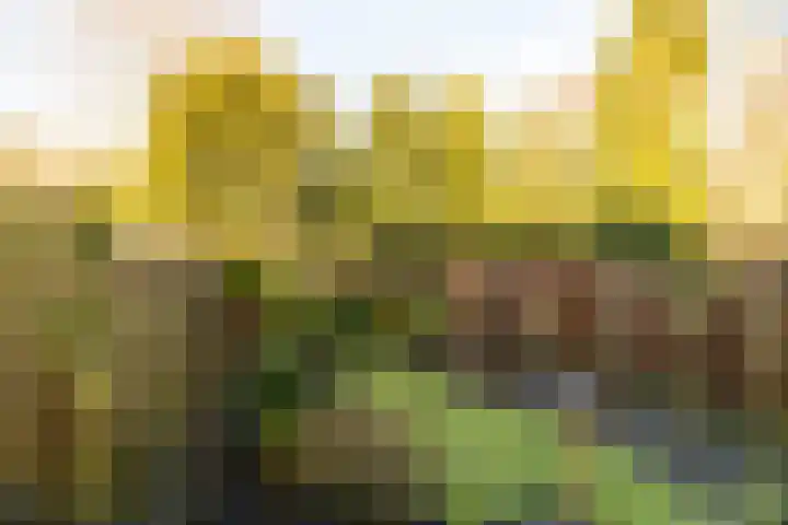 De Warren 21 Balk thumbnail 28