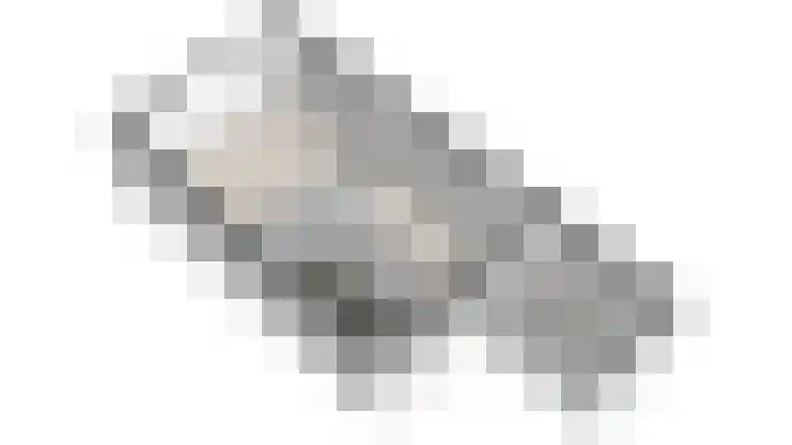 De Warren 21 Balk thumbnail 30