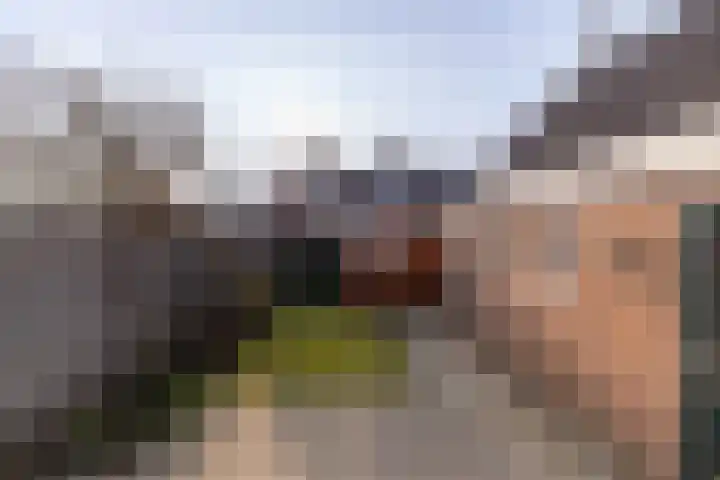 De Warren 38 Balk thumbnail 23