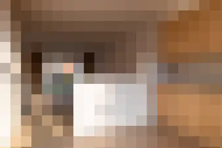 De Warren 38 Balk thumbnail 8