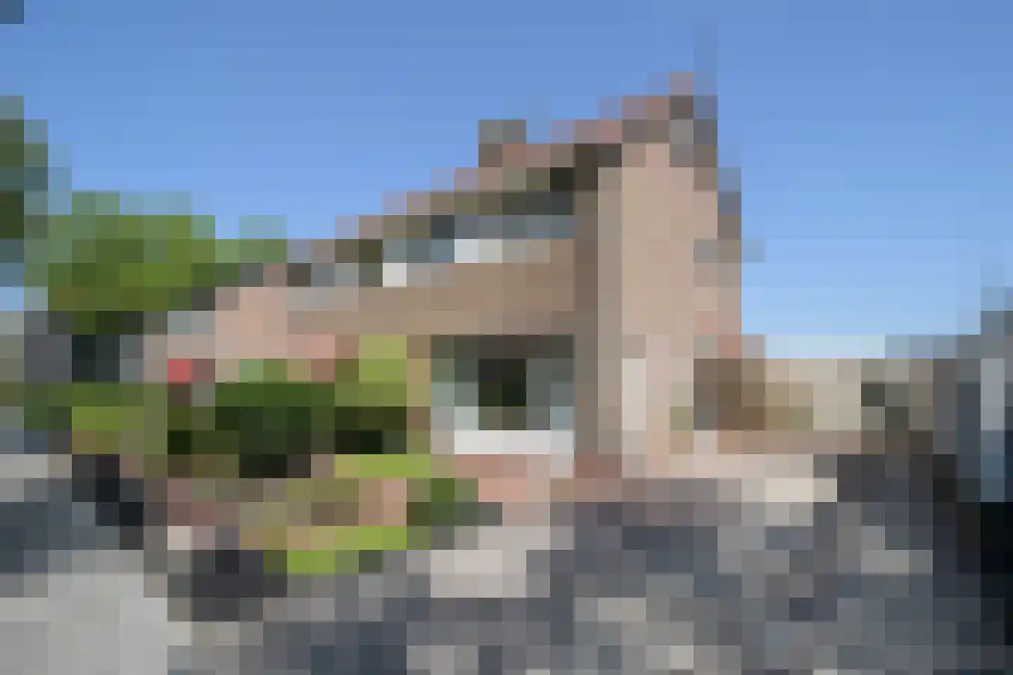 De Warren 55 Drachten thumbnail 48