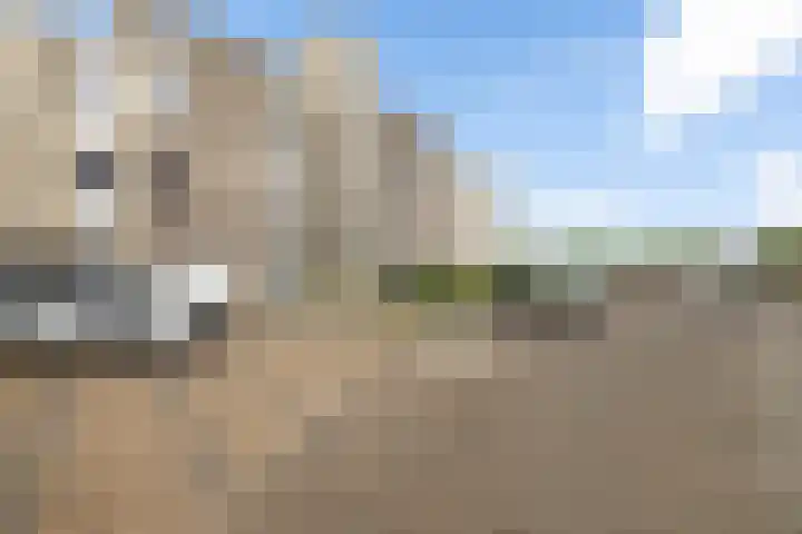 de Warring 32 Heerenveen thumbnail 4