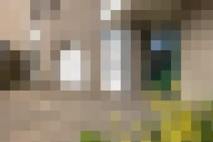 de Warring 32 Heerenveen thumbnail 5