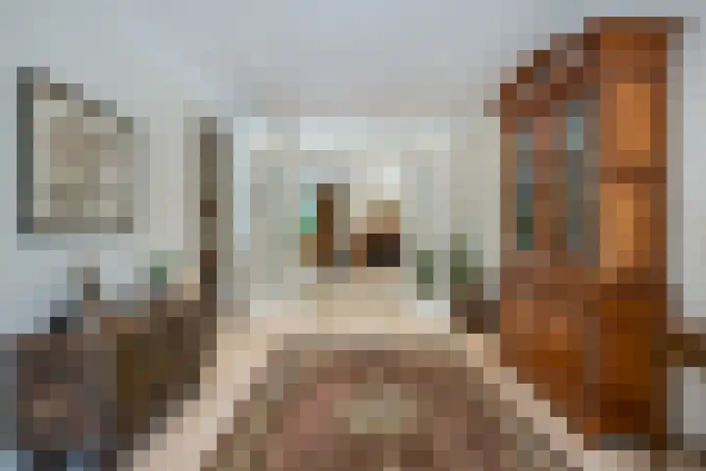 De Wassenaarse Slag 2 Wassenaar thumbnail 11