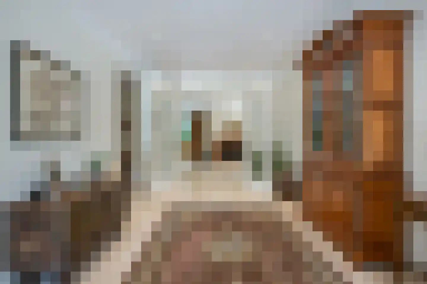 De Wassenaarse Slag 2 Wassenaar thumbnail 11