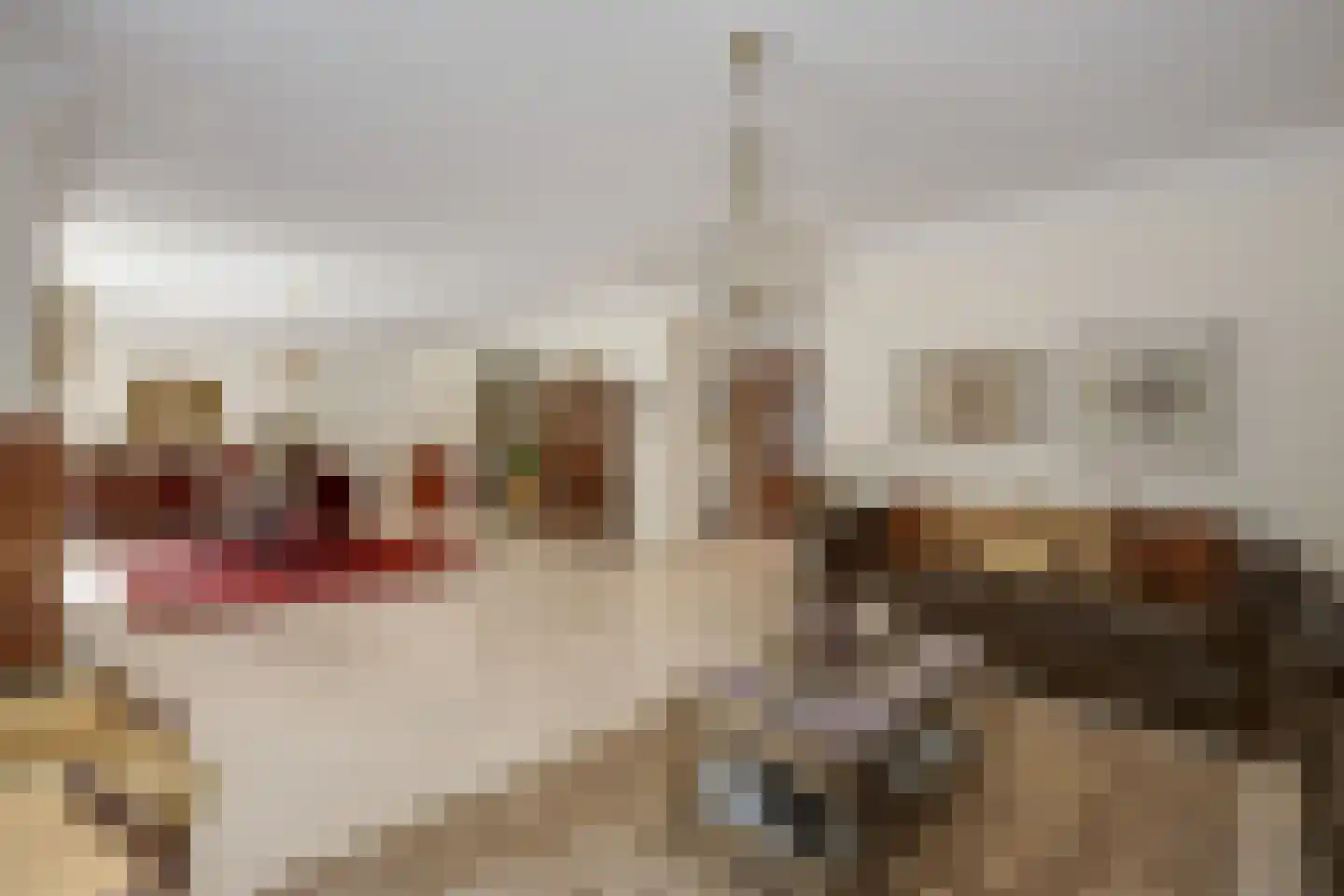 De Wassenaarse Slag 2 Wassenaar thumbnail 15