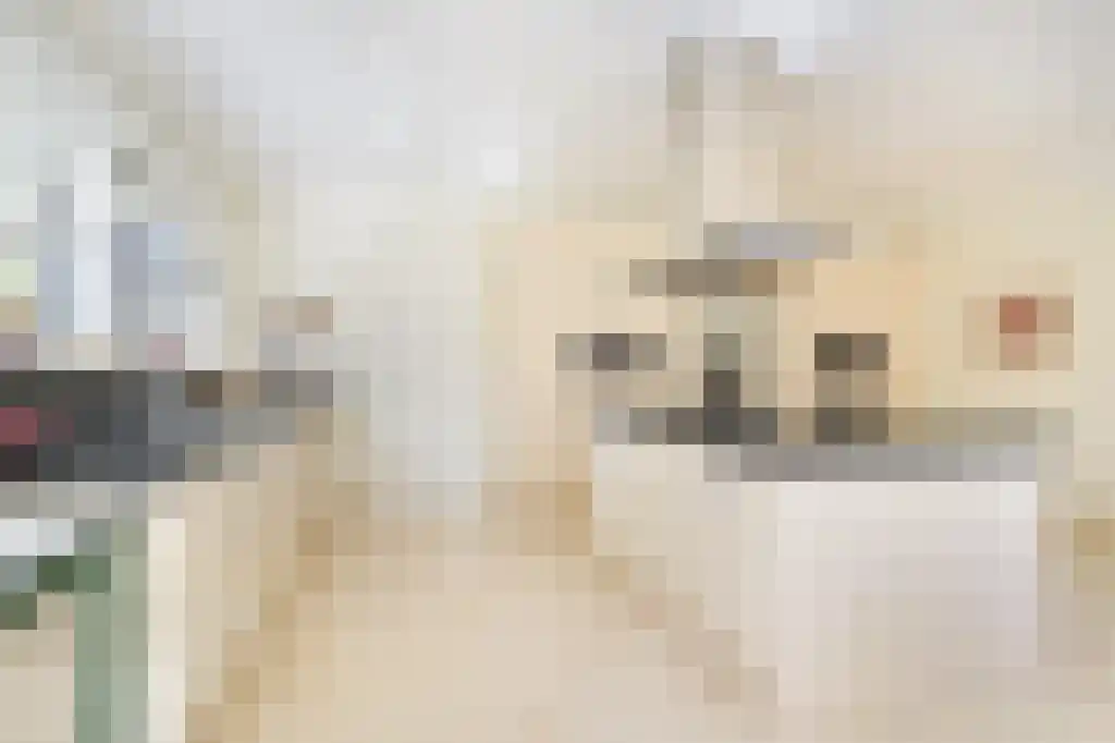 De Wassenaarse Slag 2 Wassenaar thumbnail 22