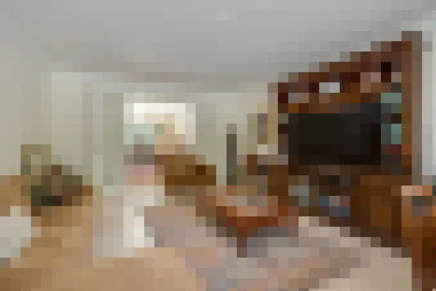 De Wassenaarse Slag 2 Wassenaar thumbnail 34