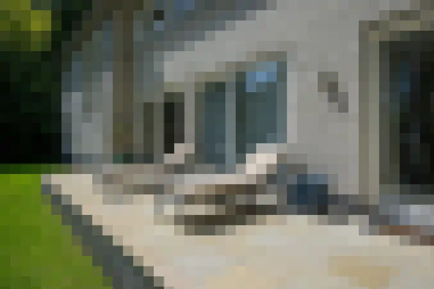 De Wassenaarse Slag 2 Wassenaar thumbnail 39