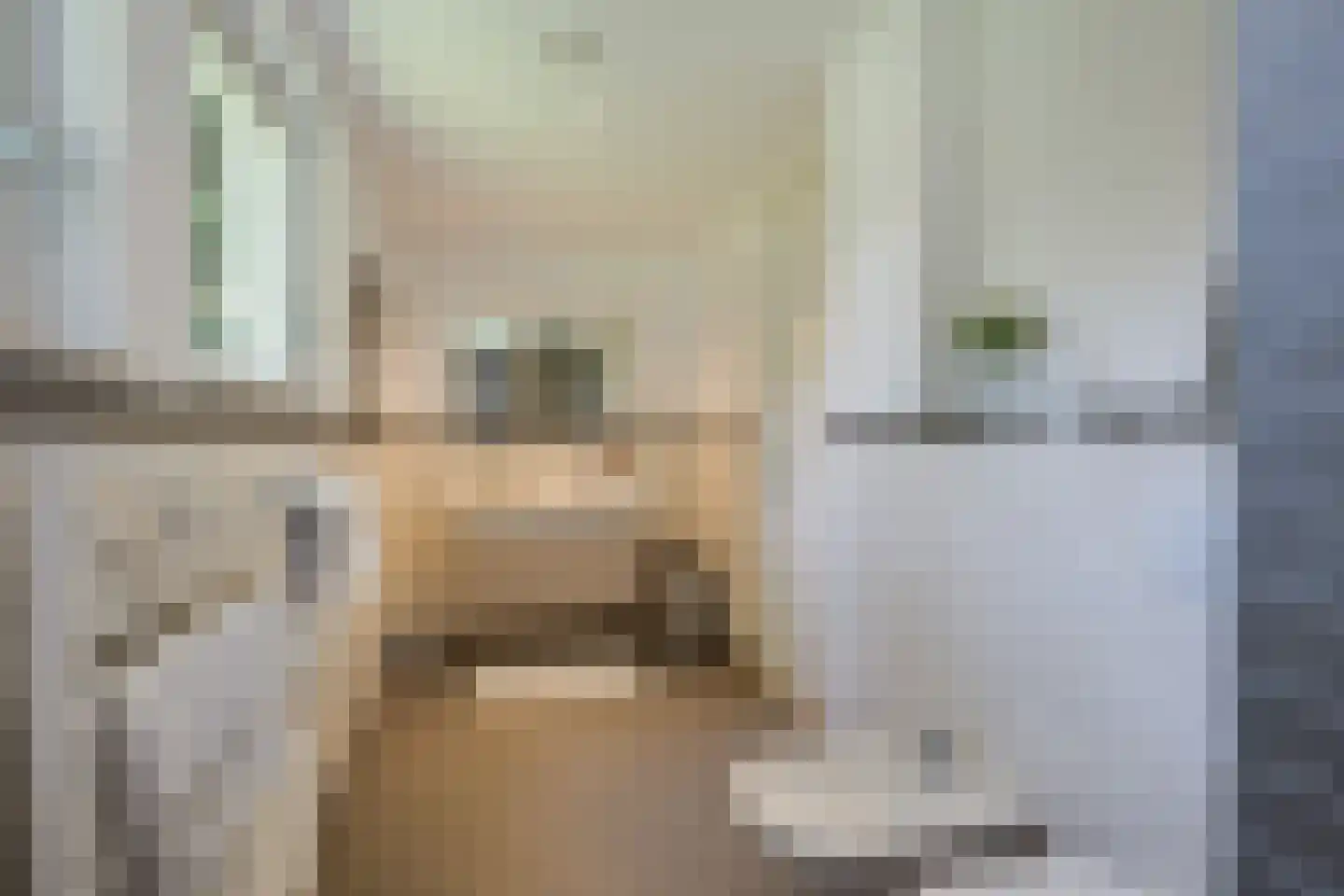 De Wassenaarse Slag 2 Wassenaar thumbnail 41